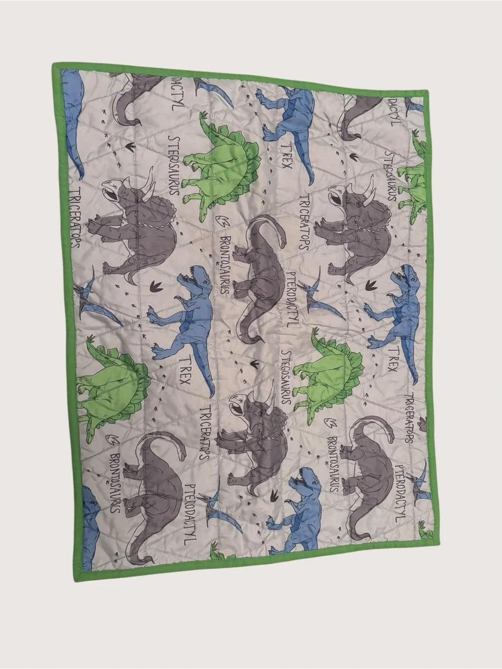 Kids Reversible Dinosaur Quilt Set‎ in Blue & Green